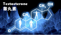 男性的睾丸素19岁后开始下降