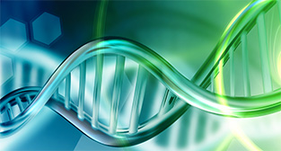 有理论认为「先天之精」等同西方医学描述的遗传基因DNA,科学家利用基因技术作深入研究,已经确立肾阳虚证和DNA的关系。而RNA和蛋白质是「后天之精」,受生活环境和食物营养影响。