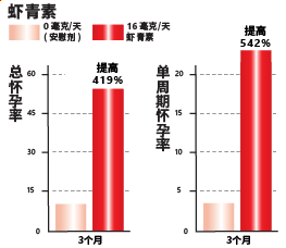 实证个案:虾青素帮助男性生殖力