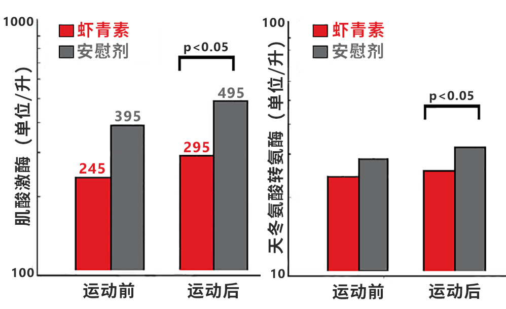 艾萃鹿庄「大茸头」鹿茸加astareal天然虾青素保护肌肉免受自由基伤害